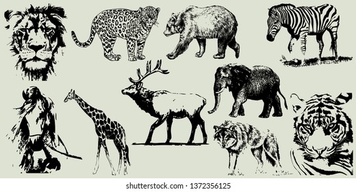 Wild animals set. Hand drawn vector collection. Isolated on a transparent background