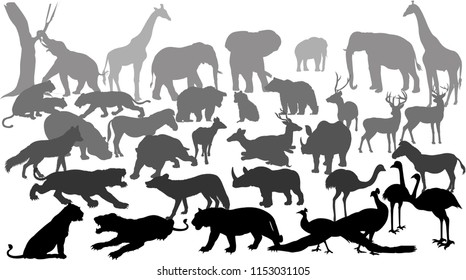 Wild animals set silhouette