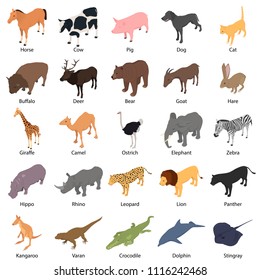 images of wild animals and their names