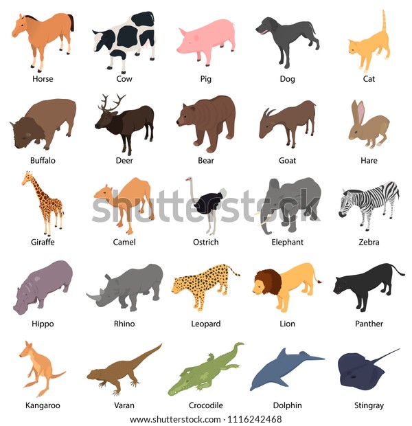 Wild Animals Signed Name Icons Set Stock Vector Royalty Free