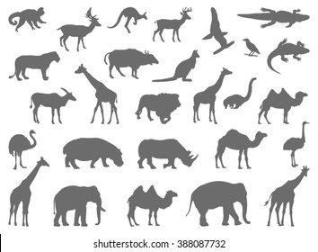 Wild animals silhouette