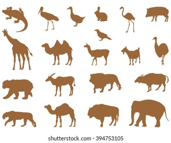 Wild animals silhouette