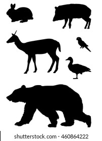 Wild animals silhouette