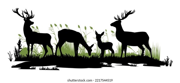 Wild animals. Silhouette figures. Glade in swamp. Grass and reeds. Isolated on white background. Vector