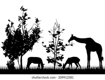 Wild Animals Silhouettes