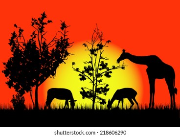 Wild Animals Silhouettes
