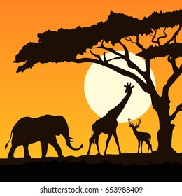 Wild animals silhouettes
