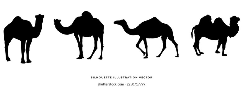 wild animals silhouettes vector illustration. Isolated animals