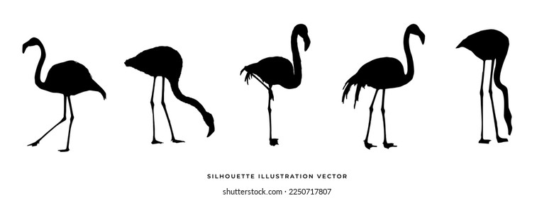 wild animals silhouettes vector illustration. Isolated animals