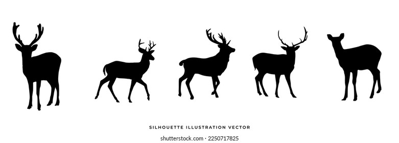 wild animals silhouettes vector illustration. Isolated animals