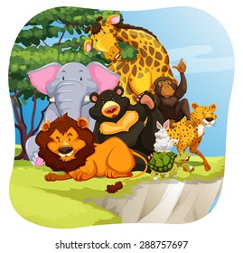 Wild animals sitting in a forest
