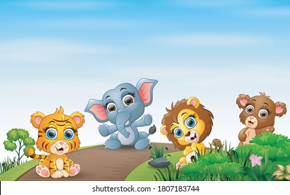 Wild animals sitting on the road