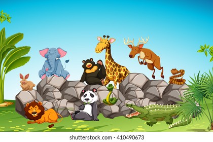 Wild animals sitting on the rock illustration