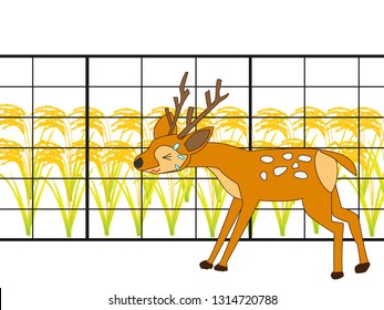 Wild animals that can not eat crops because of fence. It is an iron fence made by a farmer so that the field is not destroyed.
