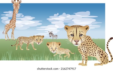Wild animals that inhabit the savanna. Cheetahs, zebras, giraffes.vector illustration