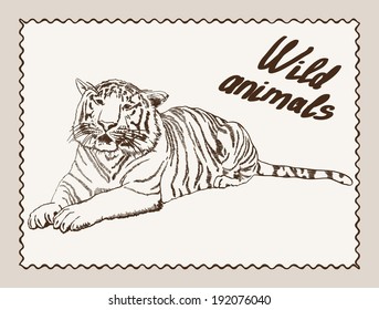 wild animals. tiger. vector sketch on grey background