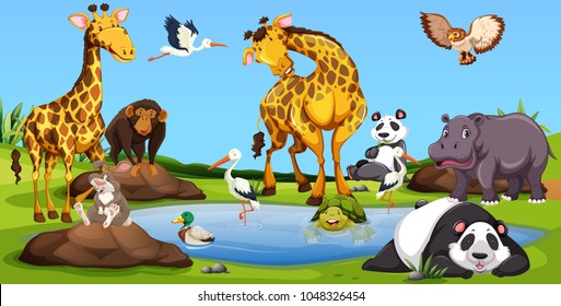 Wild animals together by the small pool illustration