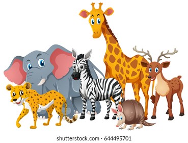 Wild animals together in group illustration