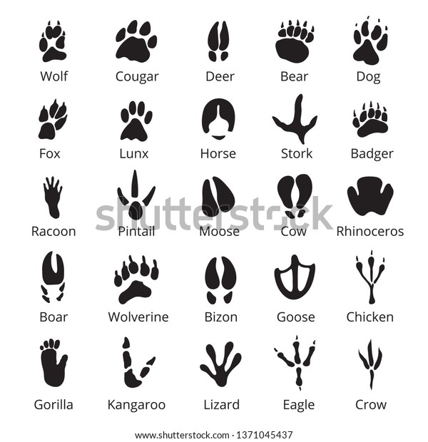 Wild Animals Traces Black Icon Set Stock Vector (Royalty Free) 1371045437