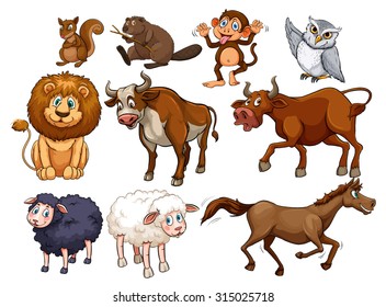 Wild animals in various types illustration