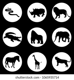 Wild animals. Vector