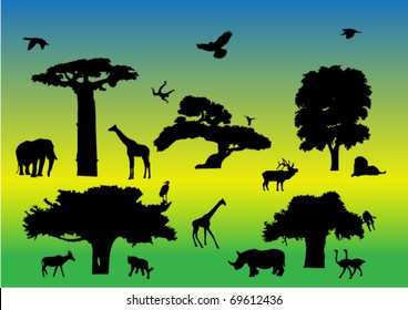 Wild animals - vector