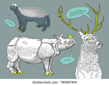 wild animals vector