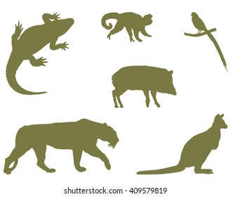 Wild animals vector illustration