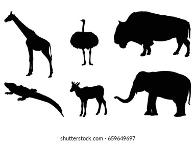 Wild animals, vector illustration