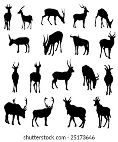 wild animals vector illustration 3
