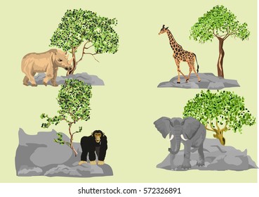 Wild animals vector illustration set. Elephant, giraffe, rhino.