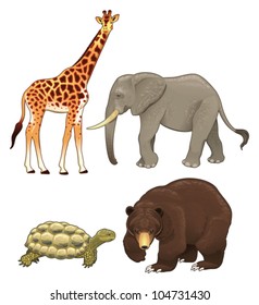 Wild Animals. Vector Realistic Isolated Characters.