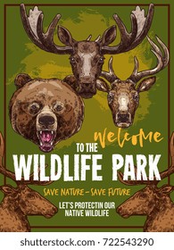 Wild Animals Welcome Poster For Wildlife Park Or Zoo. Vector Sketch Grizzly Bear, Forest Elk Or Deer And Reindeer, African Savanna Gazelle Or Antelope For Animal Save Protection Design Template