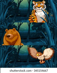 Wild animals in the woods at night illustration