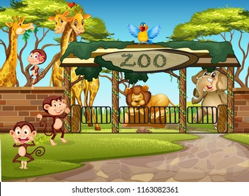 Wild Animals In The Zoo Illustration