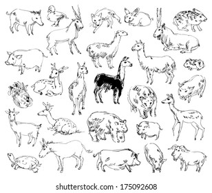 Wild Animals. Zoo. Set. Hand-drawn. Vector illustration. Isolated on white background. Set