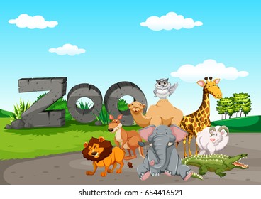 Wild animasl at the zoo illustration