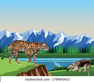 wild anteater and leopard animals in the camp scene vector illustration design