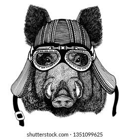 Wild aper, boar, hog, biker animal wearing motorcycle helmet. Hand drawn image for tattoo, emblem, badge, logo, patch, t-shirt.
