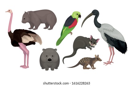 Wild Australian Animals and Birds Isolated on White Background Vector Set