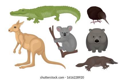 Wild Australian Animals and Birds Isolated on White Background Vector Set