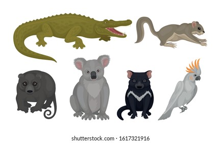 Wild Australian Animals and Birds Isolated on White Background Vector Set