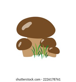 Wild autumn mushrooms family on white background on autumn forest. Fashion graphic background design. Modern stylish abstractive. Monochrome template for prints, banner, logo, card Vector illustration
