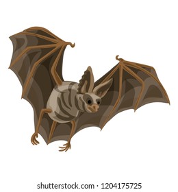 Wild bat icon. Cartoon of wild bat vector icon for web design isolated on white background