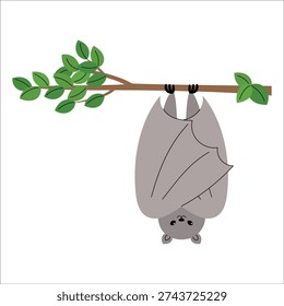Wild bat roosting on tree branch, Fruit bat hanging upside down on tree branch illustration