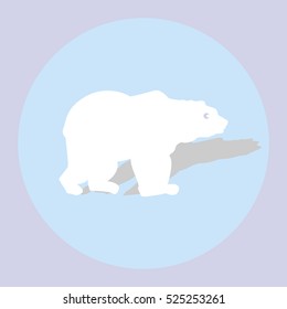 Wild bear