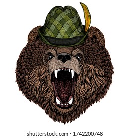 Wild bear. Animal portrait. Austrian bavarian tirol hat. Beer festival. Oktoberfest.