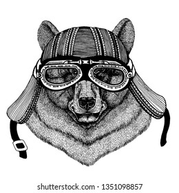 Wild bear biker animal wearing motorcycle helmet. Hand drawn image for tattoo, emblem, badge, logo, patch, t-shirt.