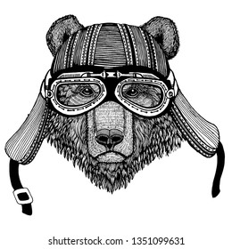 Wild bear biker animal wearing motorcycle helmet. Hand drawn image for tattoo, emblem, badge, logo, patch, t-shirt.