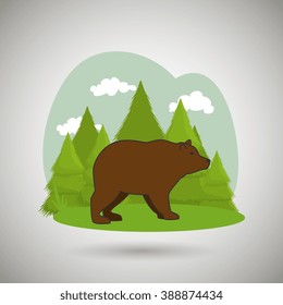 wild bear design 